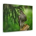 thumbnail image 2 of Majestic Bird Art Majestic Bird Print Animal Wall Art Wildlife Canvas Prints Wall Art Ready to Hang Unframed, 2 of 18