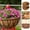 A, variant on Dongrere Fiber Liners - Garden Basket Liners for Outdoors Indoors, Flower Pot Palm Mat for Outdoor Garden Decoration
