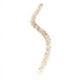 thumbnail image 2 of Sombra de ojos en barra Rare Beauty de Selena Gomez Weightless, 2 of 3