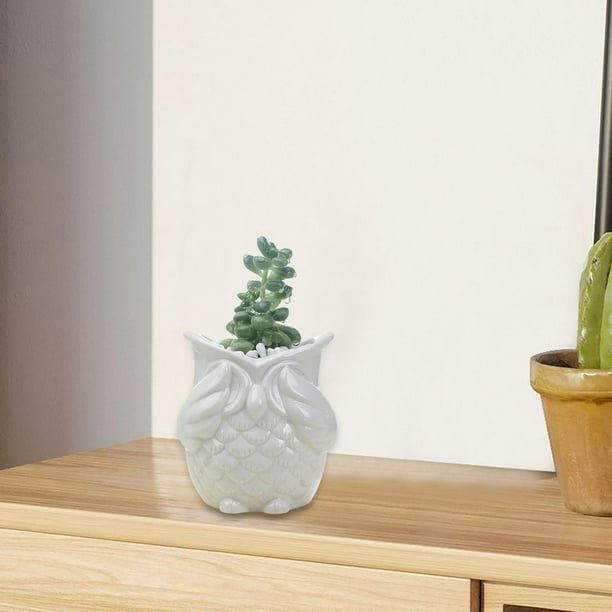 Maceta con forma de búho, decoración del hogar, regalos de cumpleaños, maceta de cerámica para bonsái, maceta Sin mirada Blanco Cola Maceta de búho