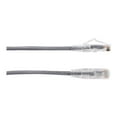 thumbnail image 2 of Black Box Slim-Net 1ft RJ-45 M/M Cat6 Patch Cable Gray C6PC28-GY-01, 2 of 3