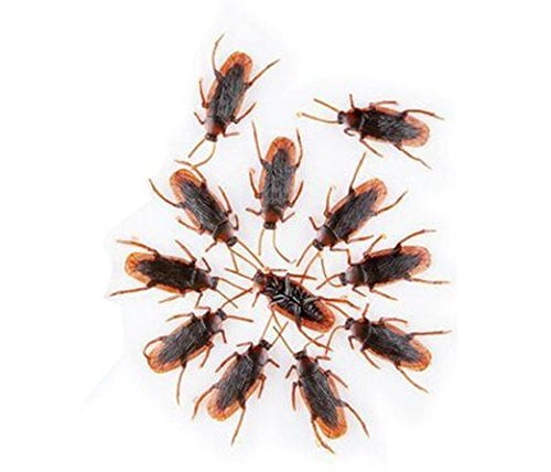 12 x Fake Cockroaches Halloween Prop Joke Prank Realistic Bug Insect NEW 