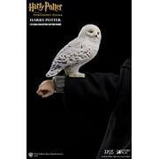 Harry Potter and the Sorcerers Stone Harry Potter 1/6 Scale Action Figure