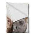thumbnail image 2 of Animal Soft Flannel Fleece Throw Blanket, 2 Little Scottish Fold Kittens on the White Background Digital Artwork Print, Cozy Plush for Indoor and Outdoor Use, 50" x 70", White and Grey, by Ambesonne, 2 of 5