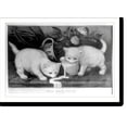 thumbnail image 2 of Historic Framed Print, Little white kitties: into mischief, 17-7/8" x 21-7/8", 2 of 9
