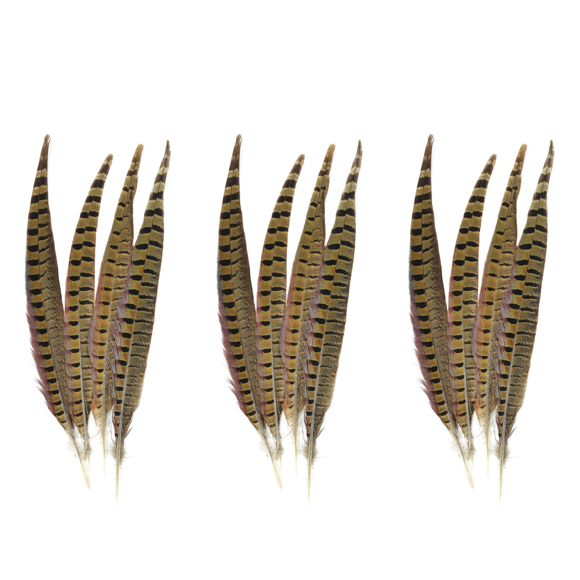 Touch of Nature Ringneck Pheasant Feathers 12/Pcs, Natural