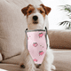 thumbnail image 3 of Protector de vientre para perros y mascotas, delantal de pecho impermeable para perro, gato, Protector de pecho para perro (estilo de perro hembra XS), 3 of 7