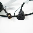 thumbnail image 5 of Crosslight IDD193063BM Classic Bulb LED String Lights, Warm White, 5 of 6