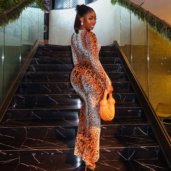 Leopard Print Long Sleeve Maxi Dress