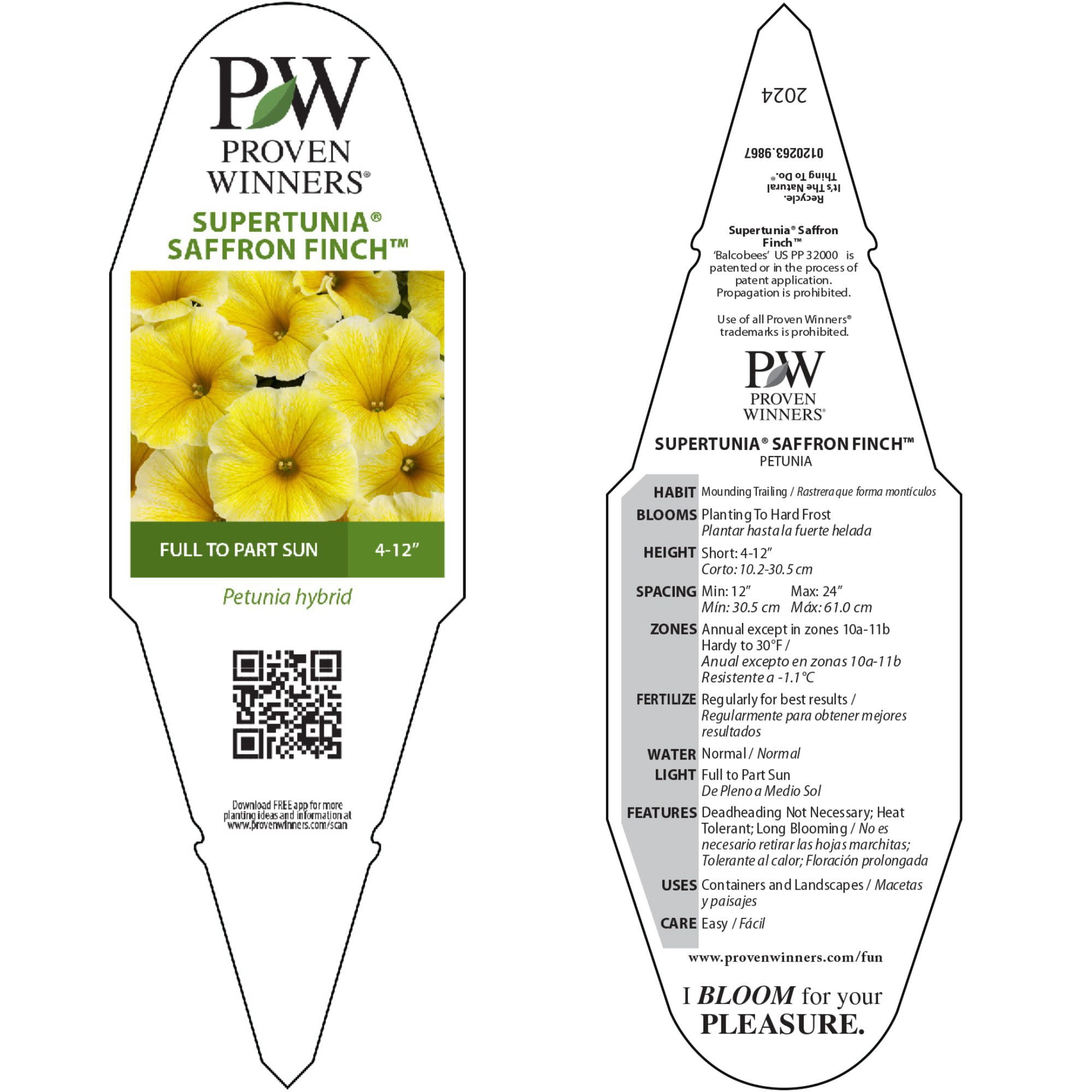 Proven Winners 4" Yellow Supertunia Saffron Finch Petunia Live Plant in 4.25" Pot (4 Count)