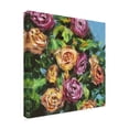 thumbnail image 2 of Trademark Fine Art 'Roses in Sunlight I' Canvas Art by Melissa Wang, 2 of 4