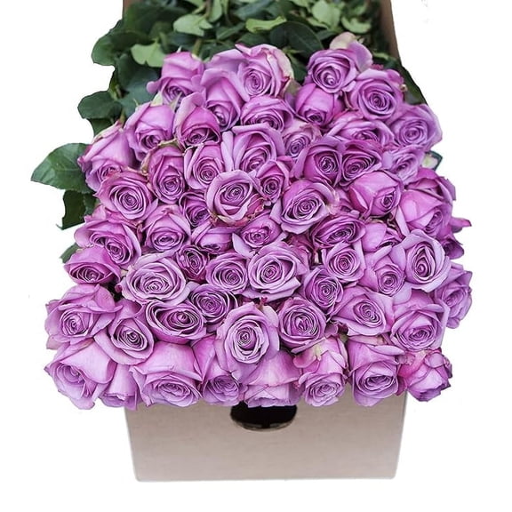 KaBloom :96 Purple Roses, Next-Day Delivery, Gift for Every Occasion.