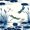 White Navy, variant on Erosebridal Cartoon Dragonfly Shower Curtain 72Wx72L,Retro Floral Bathroom Curtain,White Navy