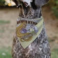 thumbnail image 4 of Disney Pet Bandana Rapunzel Never Stop Exploring Castle Pose Beige Red White Slip On Collar&nbsp;Bandana Only, 4 of 6