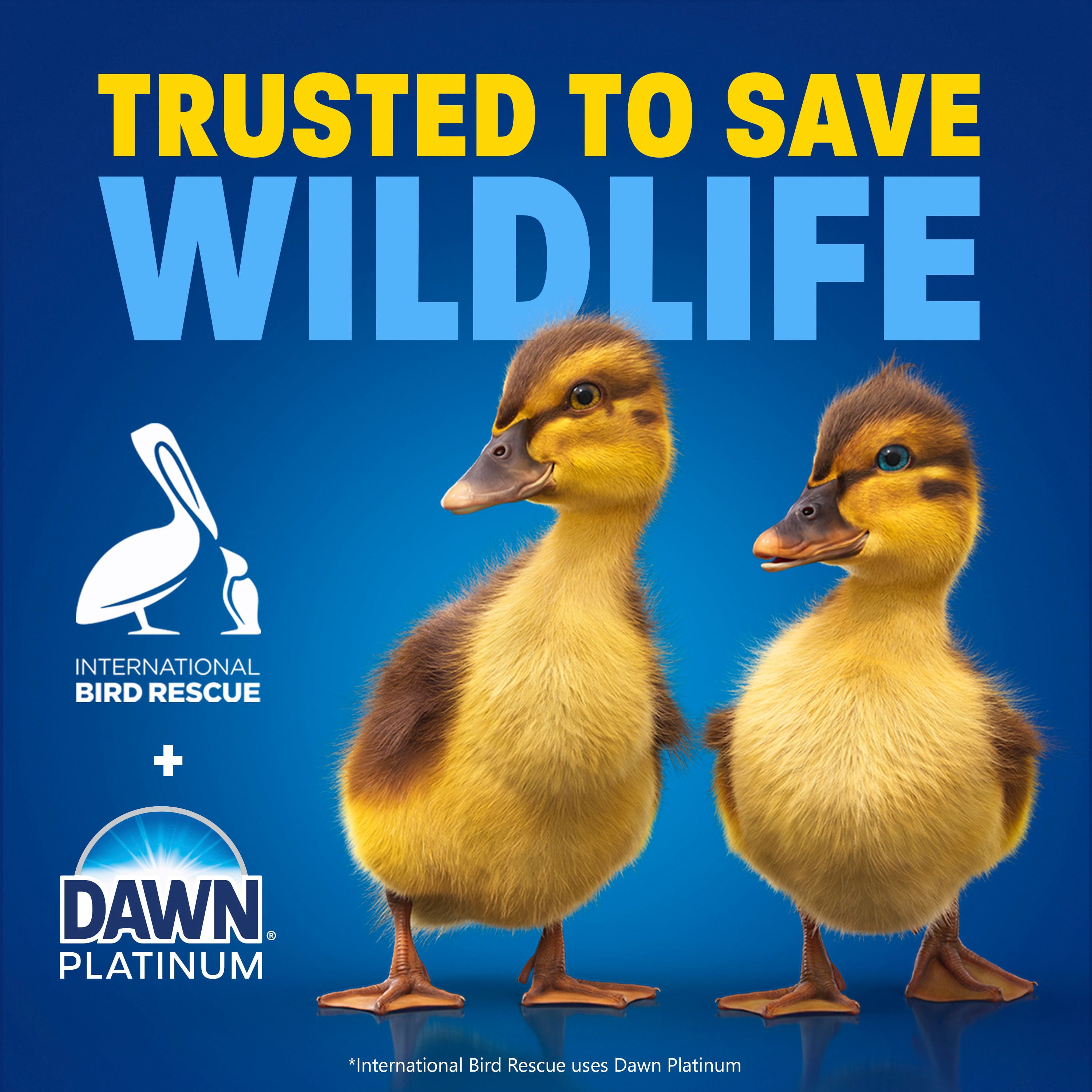 Savon à vaisselle Dawn Ultra, détergent à vaisselle liquide, parfum Fleurs de pommier