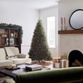 thumbnail image 4 of Árbol de Navidad Dunhill Fir de National Tree Company, 7.5 pies, 4 of 6