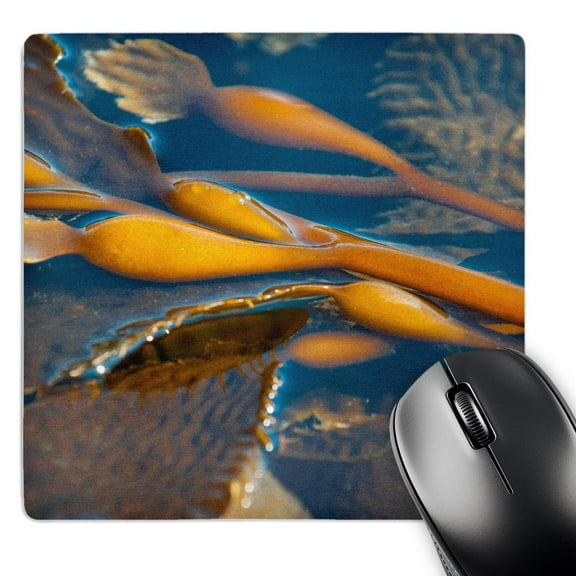 3dRose, Kelp at Haida Gwaii, British Columbia, Canada., MousePad