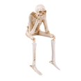 thumbnail image 2 of sunsanly Skeleton Figurine Realistic Non-See Non-Speak Non-Hear Statues Spooky Skeleton Collectible Ornaments for Halloween Haunted House, 2 of 8