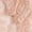 3pair-beige, variant on 3 Pairs Lace No Show Liner Socks for Women, Lace Socks Fashion Liner No Show Socks Lace Non Slip, Low Cut Socks Invisible
