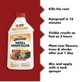 thumbnail image 2 of Spectracide Weed and Grass Killer Concentrate, 16 Ounces, 2 of 12