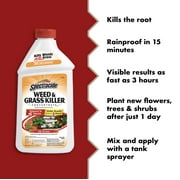 Spectracide Weed and Grass Killer Concentrate, 16 Ounces