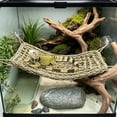 thumbnail image 4 of Cififendec Hand Woven Reptile Hammock, 15.74"×7.09", Suction Cup Hanging Lizard Snake Climbing Bed Natural Fiber Terrarium Landscape Decor for Amphibian Habitat, 4 of 5