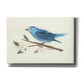 thumbnail image 1 of Epic Graffiti 'Birds and Blossoms II' by Courtney Prahl, Canvas Wall Art, 26"x18", 1 of 2