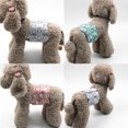 thumbnail image 2 of Bandes de Ventre pour Chiens - Bandes Absorbantes Lavables - Couches Réutilisables pour Chiens (Lot de 3), 2 of 6