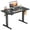 Black, variant on CONCETTA 40x24 inch Electric Standing Desk - Height Adjustable Gaming Workstation for Home Office, Black