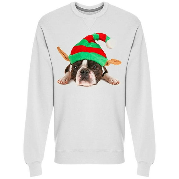 Boston Terrier With An Elf Hat Sweatshirt Men -Image by Shutterstock, Male 3X-Large