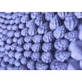 thumbnail image 1 of Ahgly Company Machine Washable Indoor Rectangle Transitional Denim Blue Area Rugs, 6' x 9', 1 of 7