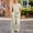 Beige, variant on Generic Women's One Piece Jumpsuits Dressy Casual Summer Short Sleeve Wrap V Neck Belted Wide Leg Pants Romper