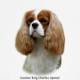 thumbnail image 3 of CafePress - Cavalier King Charles Spaniel Sweatshirt - Crew Neck Sweatshirt, 3 of 4