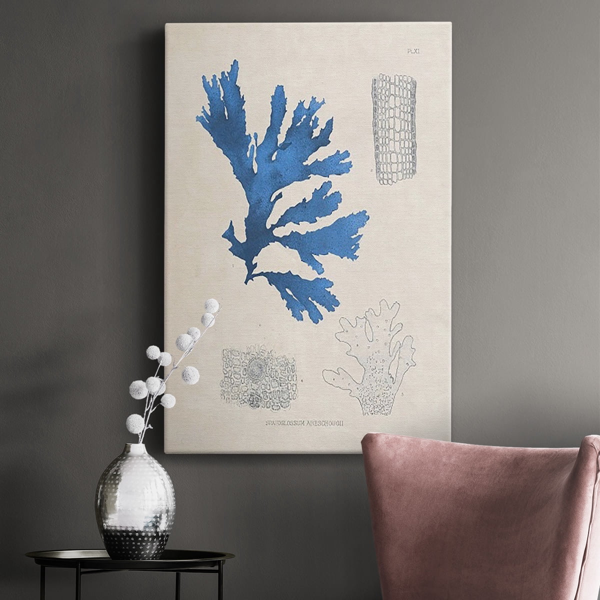 Blue Marine Algae VIII Premium Gallery Wrapped Canvas - Ready to Hang