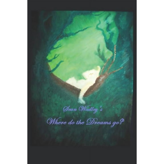 Where Do the Dreams Go? (Paperback)