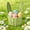 21#Green, variant on Paper Cord Woven Rabbit Ear Flower Basket, Handwoven Sturdy Easter Decorative Basket, Cute Multi-Purpose Floral Arrangement Gift Storage Bin for Home Party Holiday