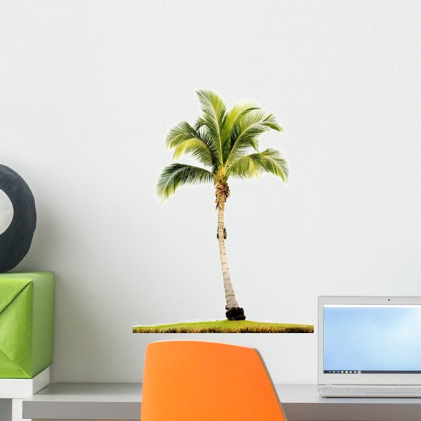 Palm Tree Wall Decal by Wallmonkeys Peel and Stick Graphic (18 in H x