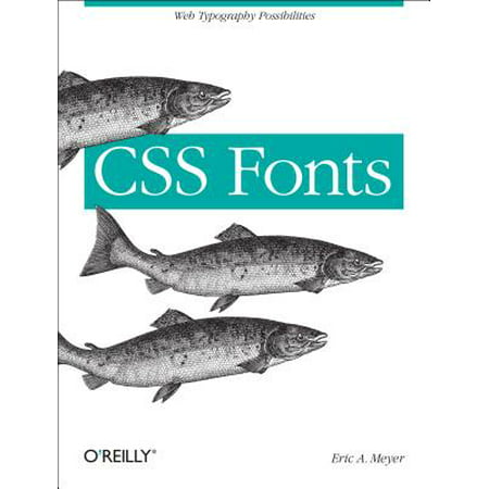 CSS Fonts : Web Typography Possibilities (Best Font For Responsive Web Design)