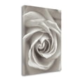 thumbnail image 2 of Tangletown Fine Art Florison - 23 by Alan Blaustein Poster Frame - 36 x 28 x 1.5 in., 2 of 2