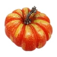 thumbnail image 2 of RKSTN Pumpkin Decorative 5PC Simulation Model Halloween Ornaments Decorative Props Vegetable Cabinet Display Photography Early Education Props, 2 of 8