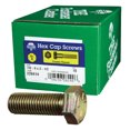 thumbnail image 1 of Tornillo HILLMAN con cabeza hexagonal de 7/8 a 9 pulgadas D X 2-1/2 pulgadas Acero L, 1 of 2