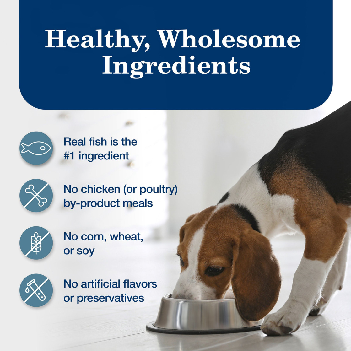 Blue Buffalo Homestyle Recipe Adult Wet Dog Food, Fish & Sweet Potato Dinner, 12.5-oz. Can