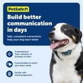 thumbnail image 4 of Collar de entrenamiento remoto PetSafe de 600 yardas, resistente al agua, 4 of 7