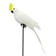 thumbnail image 3 of Visit the Apexora Store Dummy Feather Parrot Decoration Indoor Outdoor Clip, 3 of 6