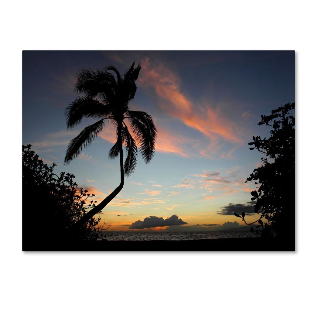 "Tropical Sunset" Canvas Art by Pierre Leclerc