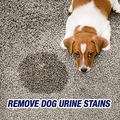 Urine Destroyer, 32 Oz Spray Bottle, Citrus (Pack of 16)
