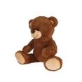 thumbnail image 3 of Oso de peluche Juguetilandia color café, 3 of 3