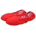 thumbnail image 2 of 1 Pair Ballet Slipper Sole Ballet Shoes Ballet Dance Practice Shoes Yoga Ballet Shoes for Girls Women (Red Size 41 24.5CM,7.5US,5UK，38.5EU,9.6285Inch), 2 of 9