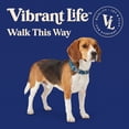thumbnail image 2 of Vibrant Life Reflective Adjustable Dog Collar, Blue, M, 2 of 9