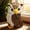 Brown, variant on Lydiaunistar Cute Big-Eyed Owl Plush Doll, Small Realistic Stuffed Animal Toy, Soft Portable Gift for K-ids K-id Shower Birthday